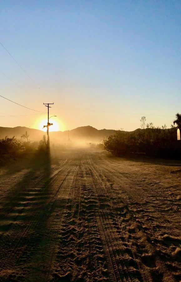 Popular Homestead! Location, Stargaze, Views! Joshua Tree Exteriér fotografie