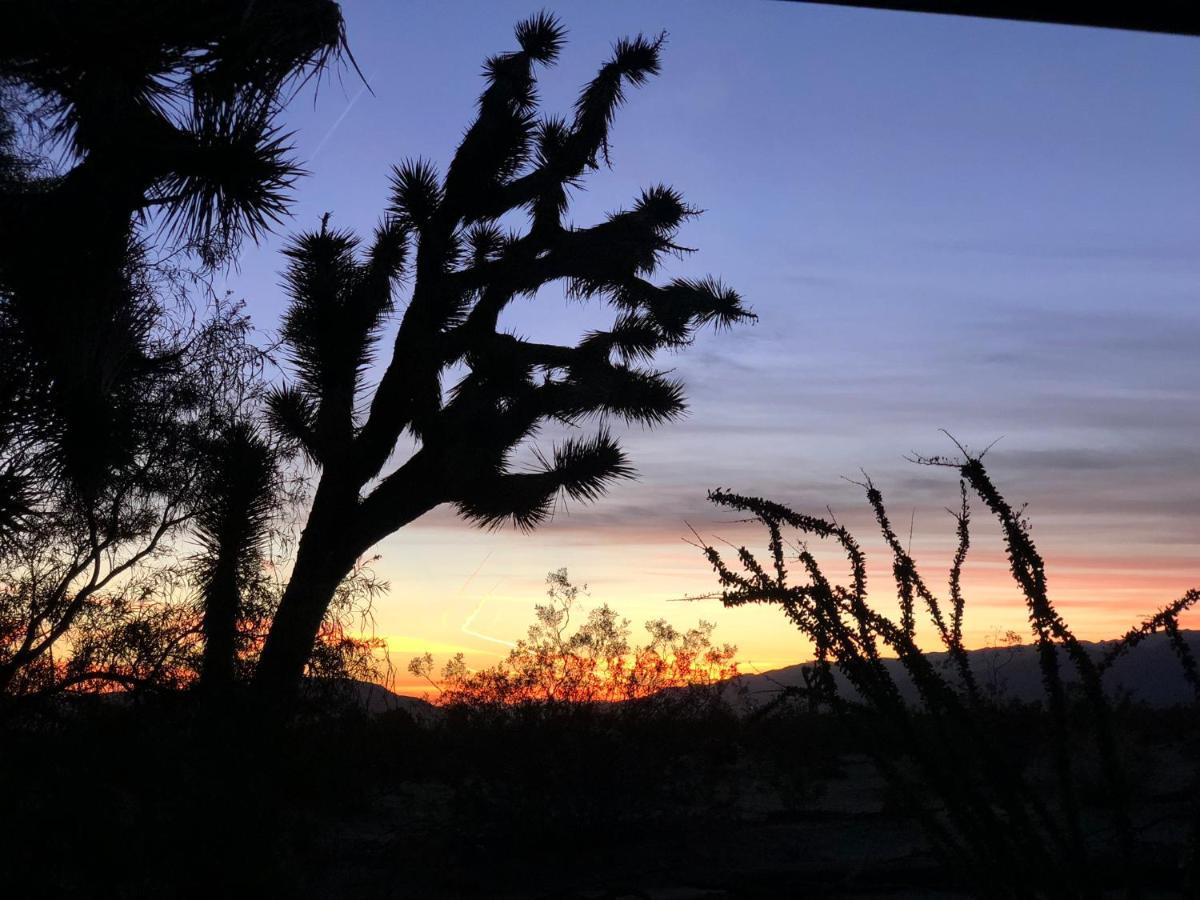 Popular Homestead! Location, Stargaze, Views! Joshua Tree Exteriér fotografie