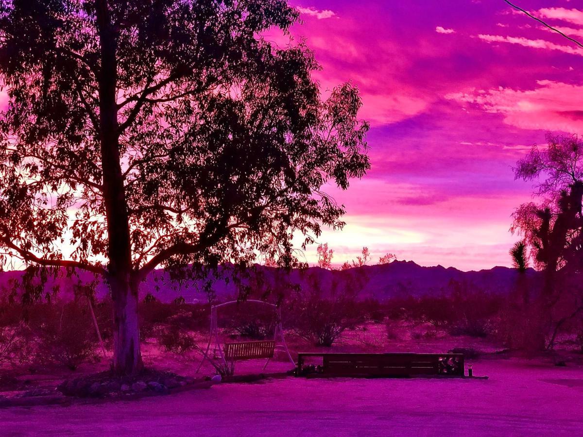 Popular Homestead! Location, Stargaze, Views! Joshua Tree Exteriér fotografie