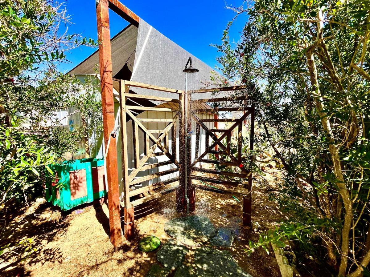 Popular Homestead! Location, Stargaze, Views! Joshua Tree Exteriér fotografie