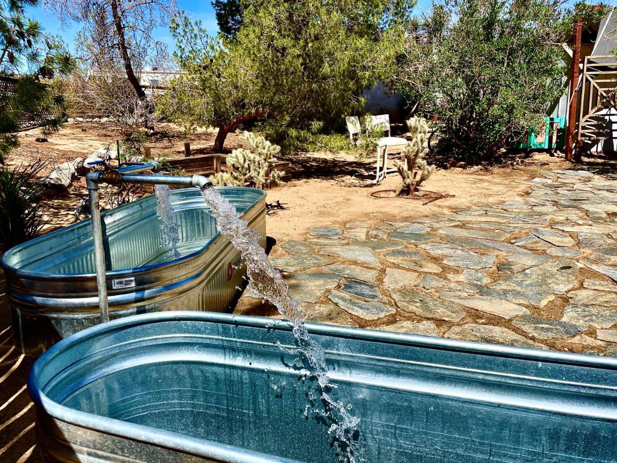 Popular Homestead! Location, Stargaze, Views! Joshua Tree Exteriér fotografie