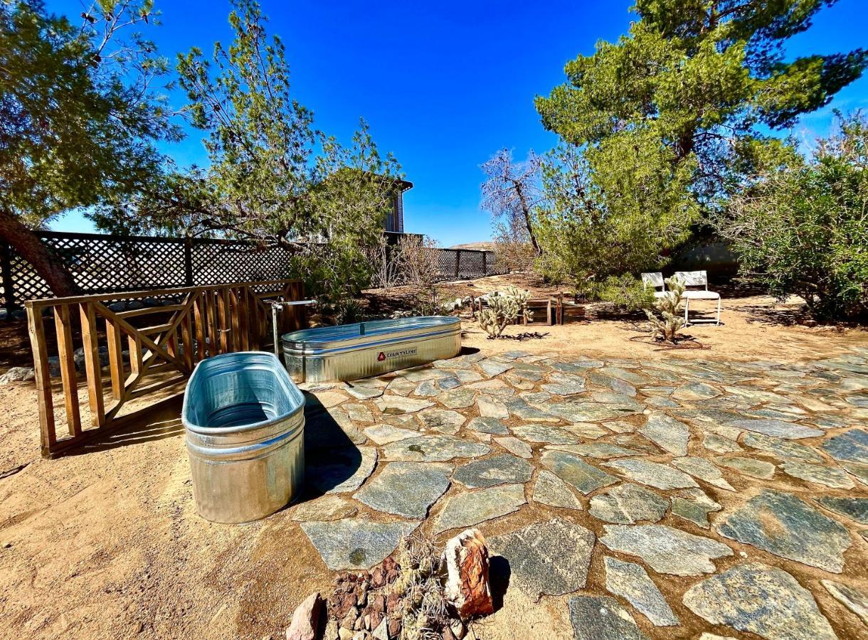 Popular Homestead! Location, Stargaze, Views! Joshua Tree Exteriér fotografie