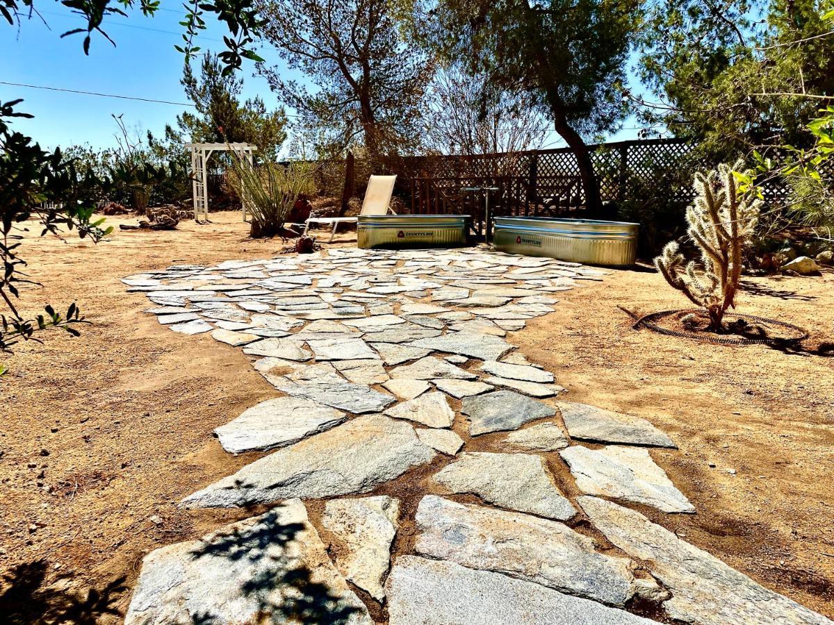 Popular Homestead! Location, Stargaze, Views! Joshua Tree Exteriér fotografie