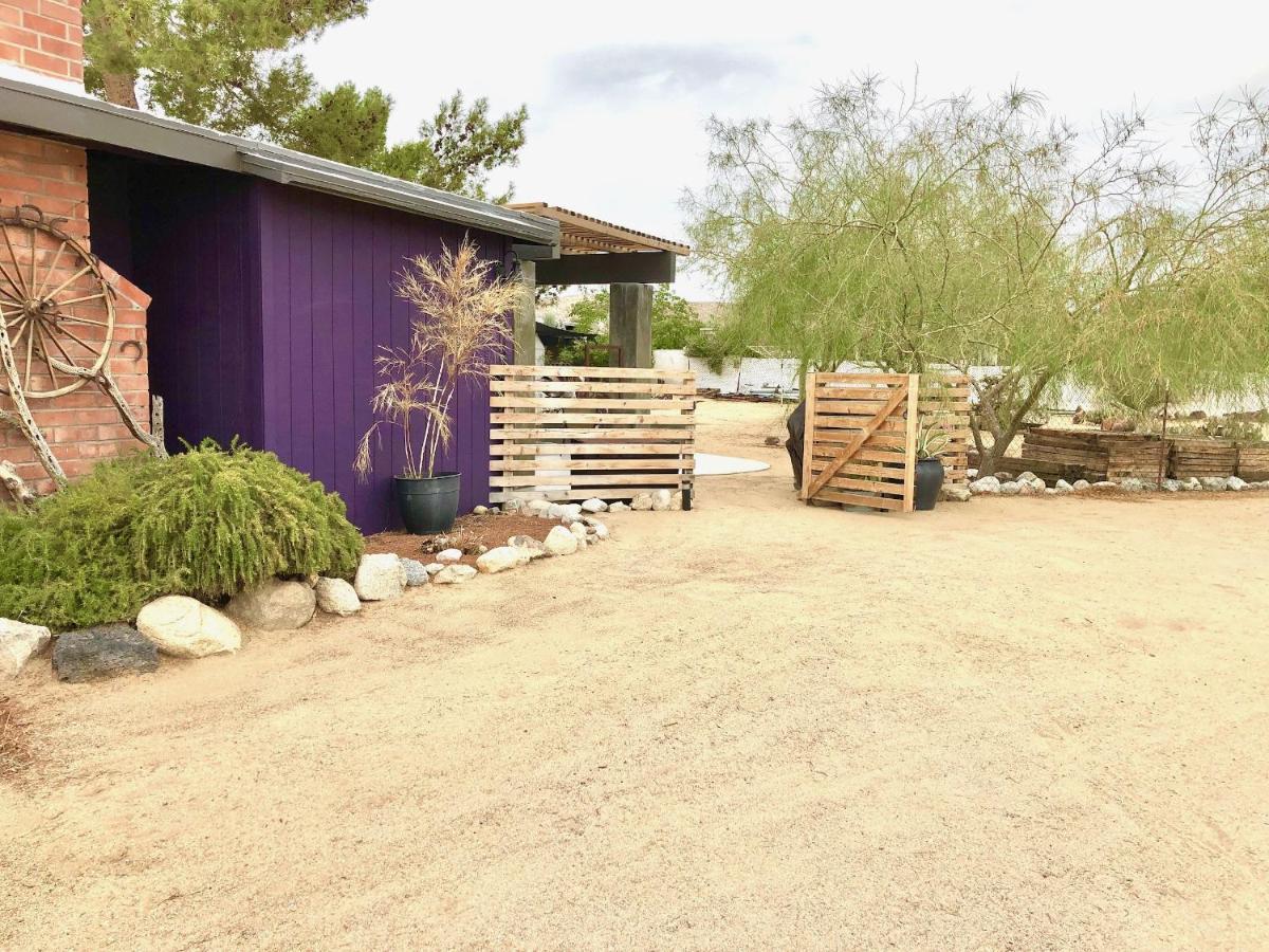 Popular Homestead! Location, Stargaze, Views! Joshua Tree Exteriér fotografie