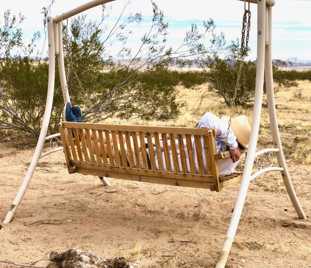 Popular Homestead! Location, Stargaze, Views! Joshua Tree Exteriér fotografie