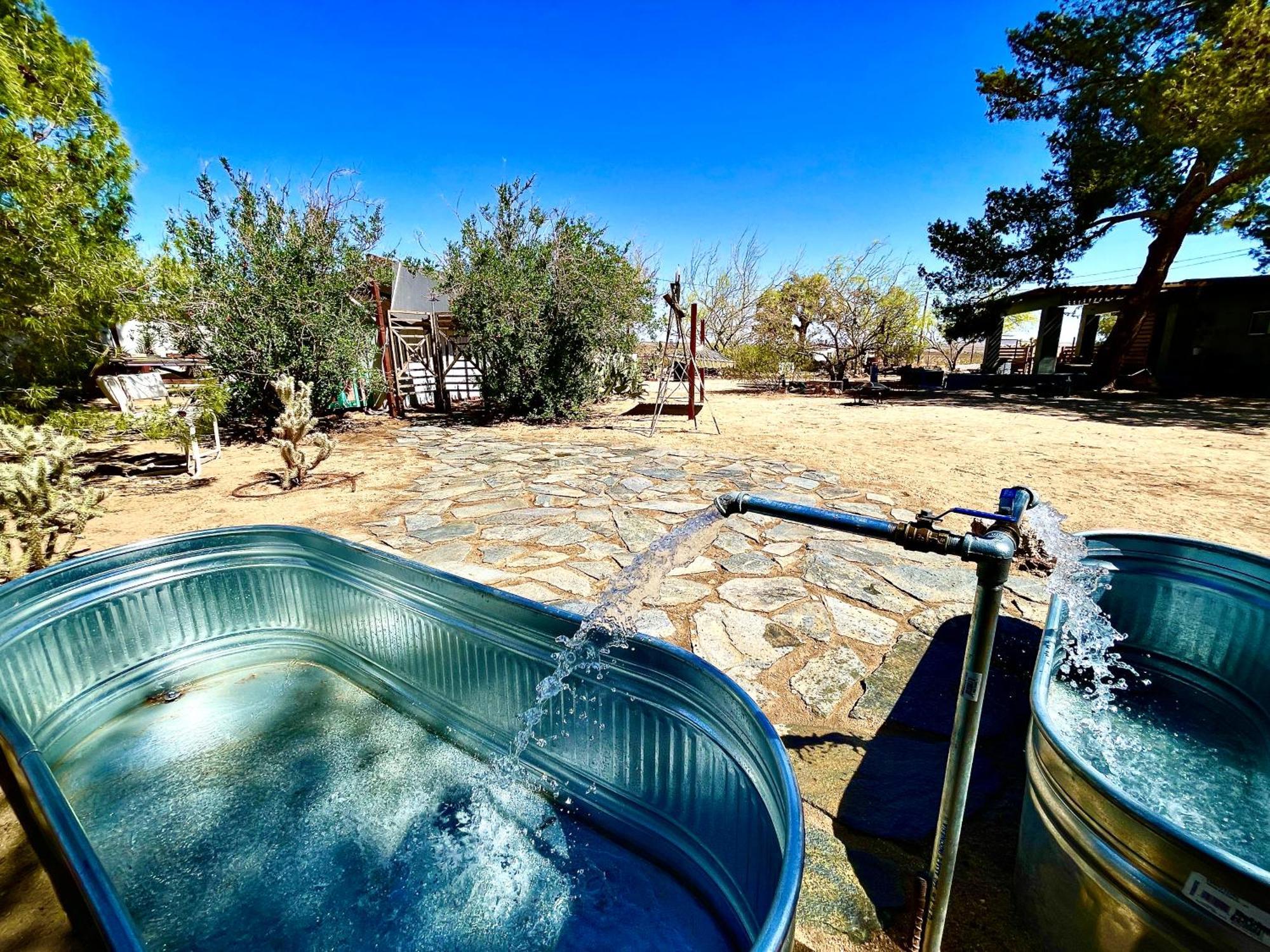 Popular Homestead! Location, Stargaze, Views! Joshua Tree Exteriér fotografie